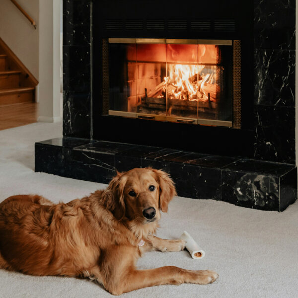 Skantherm Kamin - Kamin mit Hund, der sich am Feuer wärmt